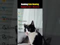 Ranking cats hearing egyptian music