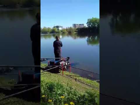 Video: Thích Câu Cá Gần Moscow