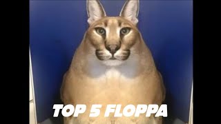 Top 5 floppa ( floppa  Vs cat , floppa sad , floppa baby )