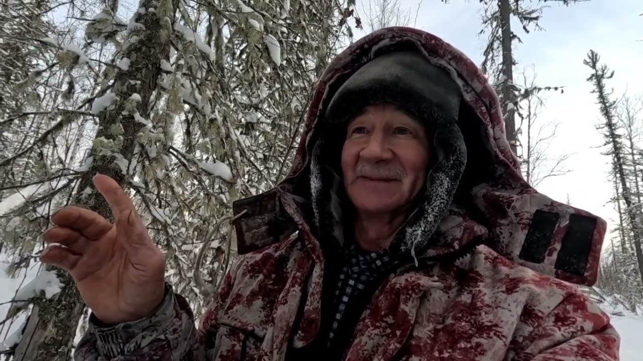 Живу в таёжной избе. Проверил капканы. Пара соболей.