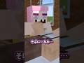 【感動/マイクラ】ティナばあさんとおじいちゃん　#shorts