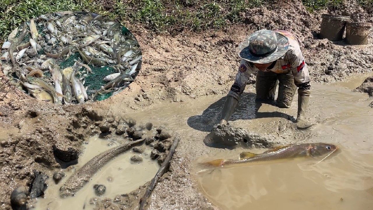 wow amazing! today going to fishing at rice field