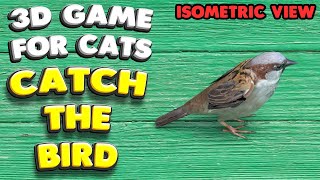 3D Game For Cats Catch The Bird Isometric View 4K, 60 Fps, Stereo Sound
