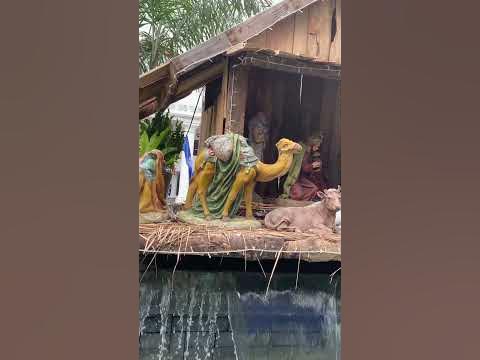 Spotted native Belen #viral #shortsvideo #trending #newsfeed #newsfeed ...