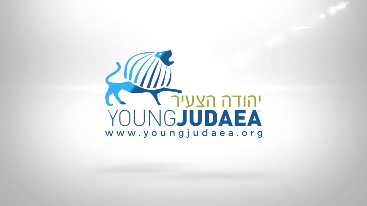 programs in israel for young adults