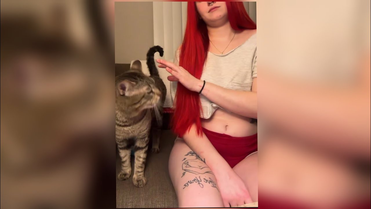 Повседневная жизнь 🎉🎉 Тихий вечер наедине с моей кошкой 🌙🐈