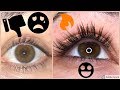 HOW I GREW MY LASHES 3X LONGER IN 8 WEEKS!!