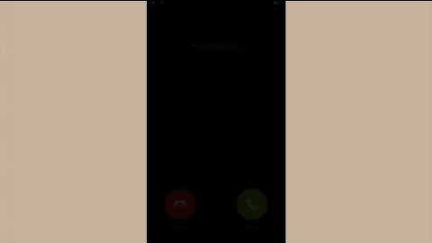 MANDARIN LEVEL II SIMULATION VIDEO