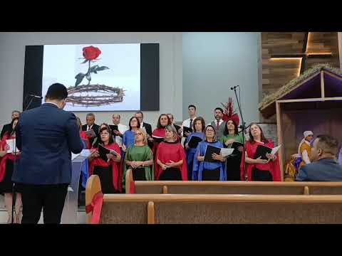Rosa de Belém  - Cantata Nasceu a Esperança 