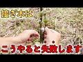 接ぎ木はこうやると失敗します．26例の接ぎ木後の様子を紹介！成功させるためのコツなど！