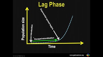 Identification and Management of Invasive Plant Species with Karan Rawlins