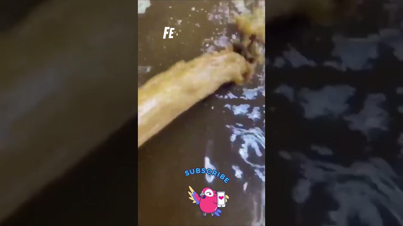 How Tequila is Really Made 