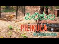 ಪಿಲಿಕುಲ ನಿಸರ್ಗಧಾಮ | pilikula nisarga-dhama |🥰🥰😍