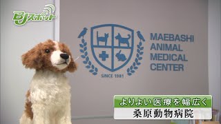 桑原動物病院