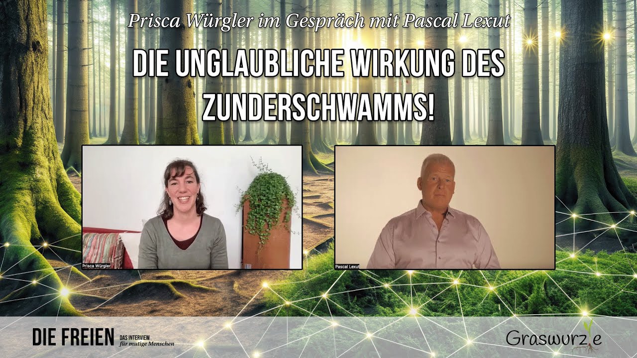 Die unglaubliche Wirkung des GFP-Komplexes!