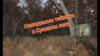 S.t.a.l.k.e.r. Оп 2.1-2.2 Невидимые Тайники В Красном Лесу