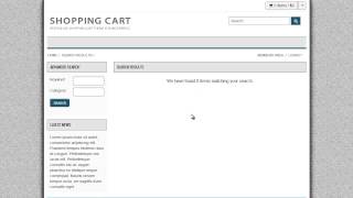 eBay Affiliate - WordPress Import Tool
