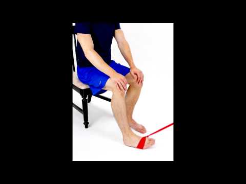 ELASTIC BAND EVERSION 2 -hep2go