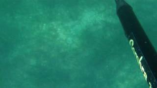 AMBA0008.MOV