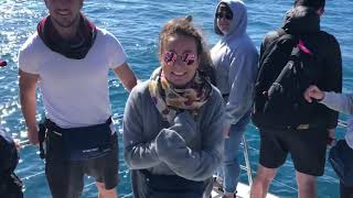 Australia Dancing Eté 2019