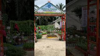 Persiapan penilaian kebun dasa wisma akasia
