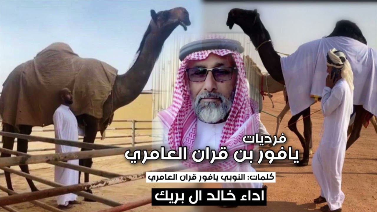 شلة الموسم🏆🔥🔥فرديات يافور بن قران العامري كلمات: النوبي العامري اداء: خالد ال بريك