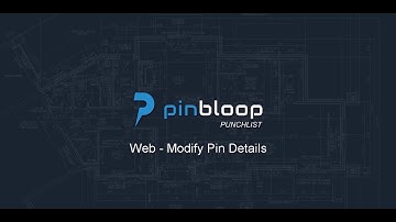 Pinbloop Punchlist - Web App Video - Modify Pin Details