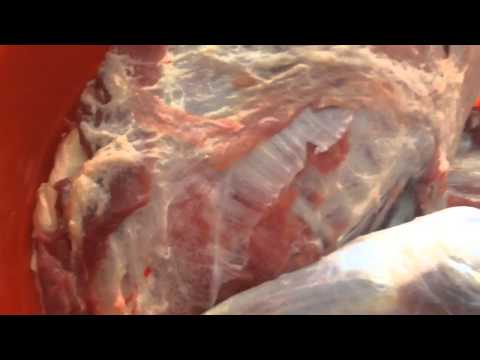 Dead Meat Still Moving