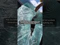 Intricate Spiraling Glass Art Piece Revealed By Skilled Workers