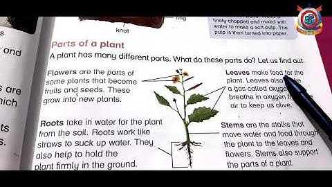 Class Two Science Unit;3 Plants & Their Parts Lecture # 13 Parts of Plant
