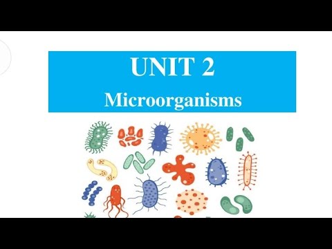 Biology grade 12 unit 2 microorganism in Oromic - YouTube