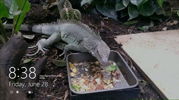 TechEd Europe 2013 Using Windows PowerShell Magic to Manage Microsoft Office 365