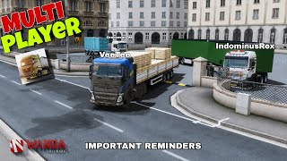 Truckers of Europe 3 Multiplayer! Important Reminders (Closed BETA Testing)