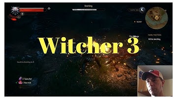 Witcher 3 How NOT to Fight a Botchling