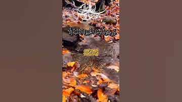 ايات من سورة الحديد القاري الشيخ محمد الفقيه #اجر_لي_ولك #قران_كريم