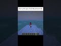 #minecraft #viral #filter #memes #minecraftgameplay #birdtrend
