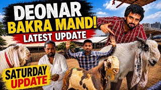 DEONAR BAKRA MANDI SATURDAY LATEST UPDATE 16 May 2026 FULL HARD BAKRA HAI AAJ Lala |