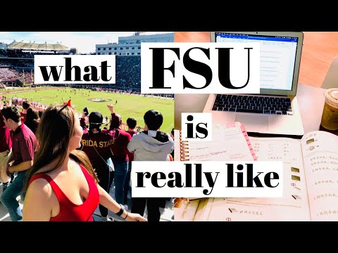 what fsu is really like: college day in the life