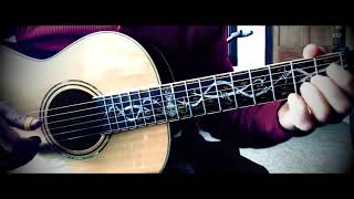 Joe Jackson Breaking Us In Two Fingerstyle