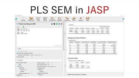 JASP: PLS SEM (Partial Least Squares SEM)