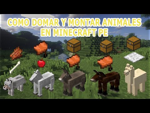 Vídeo: Com Domesticar Un Animal A Minecraft