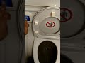 Airplane Toilet Flush Sound Supersonic Flush In Toilet Shorts Youtubeshorts 