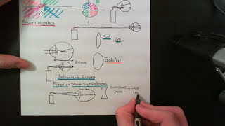 The Visual System Part 3