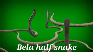 Naggin 3 bela half snake animation on green screen || by @AHfilmsandanimations