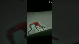 SCP 939 vs baby SCP682