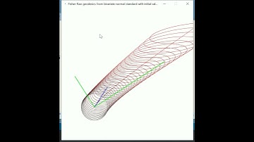 Fisher-Rao geodesics from the standard bivariate normal distribution