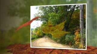 Photodex Proshow Producer 5 FALL FREEBIE from http://www.outsidetheboxstyles.com