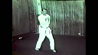 Harold Mitchum Isshin-Ryu Karate Upper Body Basics