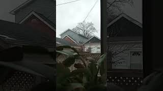 Canlı Yayından Öne Çıkan Video