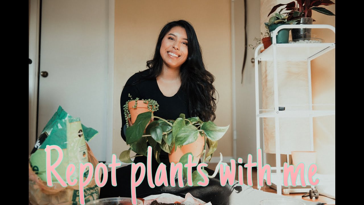 Repotting Indoor Plants With Me 